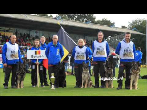 WUSV WK IPO 2016 Meppen