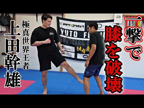 【狙うは膝の破壊】極真世界王者上田幹雄　一撃で破壊するインローキックの蹴り方が深すぎた！【超有料級】