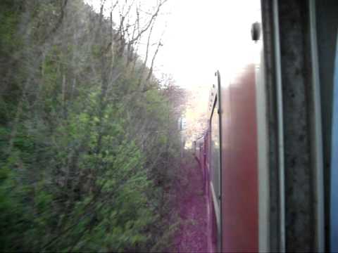 EXCURSIE FEROVIARA BUCURESTI NORD-TIMISOARA NORD CU TRENUL ACC1691 IN DATA DE 21-04-2011.