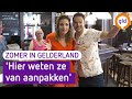 Zomer in Gelderland | Oosterhuizen | 11 augustus 2022