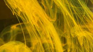 Camo &amp; Krooked - Turn up the Music (pola &amp; bryson mix)