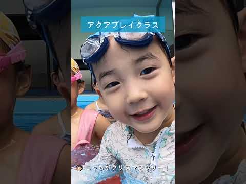  2023 年のスイミングプールのトレンドに合わせたガーデンファニチャー: 最適な快適さを生み出すための最良のアイデア  庭園