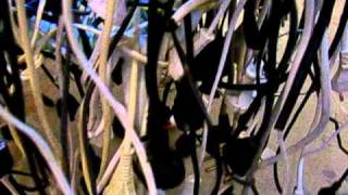 dein elektrischer stuhl