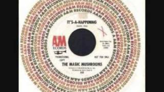 The Magic Mushrooms - Never More