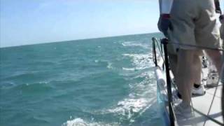 Dolphin Races J44 Sailboat