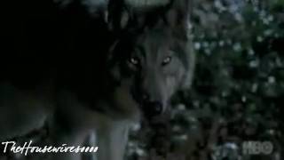 Attaque Bill/Loups-garous