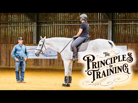 The Principles of Training Season 3 Episode 10: “The Mental Aspects of the Flying Lead Change"