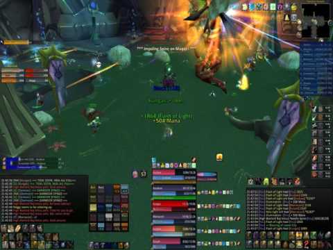 Black Temple - High Warlord Naj'entus VS Nihilum