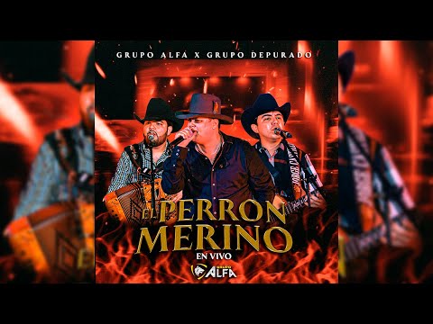 Grupo Alfa Ft. Grupo Depurado - El Perron Merino (Culichi Live Vol.1)