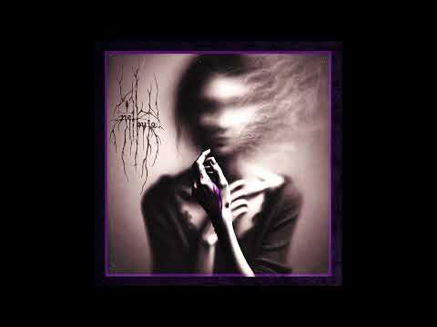 Black Metal Promotion and Avantgarde Music