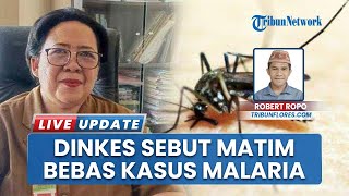 Manggarai Timur Bebas Kasus Malaria Sejak 2019, Dinas Kesehatan Pastikan Eliminasi Berhasil