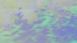 FRAGRANCE. • Postcards