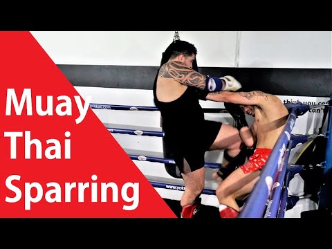 Muay Thai Friday Night Sparring 2020-7-24 Highlight