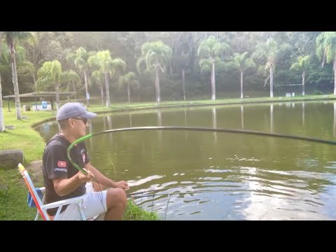 #877          TODA VEZ QUE EU PESCO AQUI ME SURPREENDO COM A FORÇA DESSES PEIXES!!!