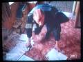 Death Wish 3 Ending Part 3