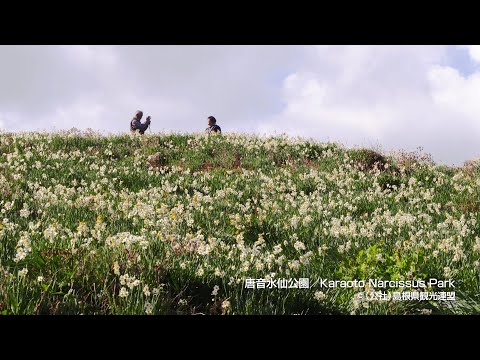 唐音水仙公園＠島根県観光連盟