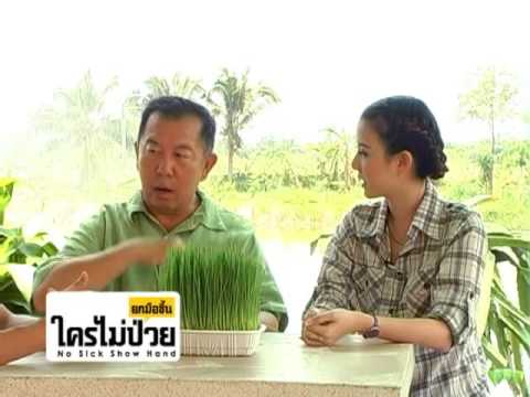 ในการผ่าตัดเพื่อเพิ่มสมาชิก สิ่งที่เป็นยาโป๊สำหรับความคิดเห็นต่อผู้หญิง