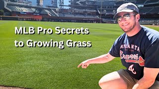 Weed FREE Lawn | Make YOUR Lawn Look Like an MLB Ball Park!