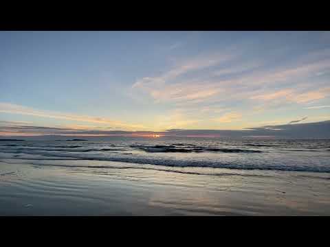 2023 Day 306 of Dreaming