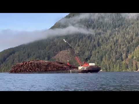 Crew Boat fly by, of a Big Tug Boat towing a Massive Barge full of Lumber