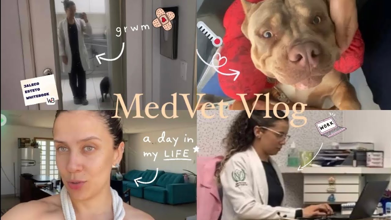 Medvet Vlog | clínica nova; rotina de atendimentos