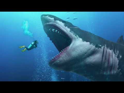 MEGALODON vs Pliosaurus funkei  ultimate battle of the seas!
