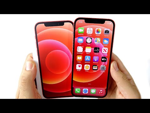 iPhone 12 Unboxing and First Impressions!