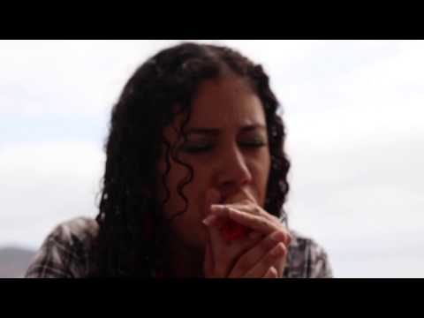 XOROS LIFE TV  - NIKORA - COQUIMBO & SERENA