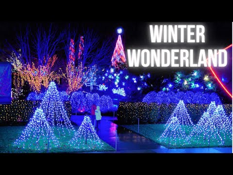 youtube embeded image