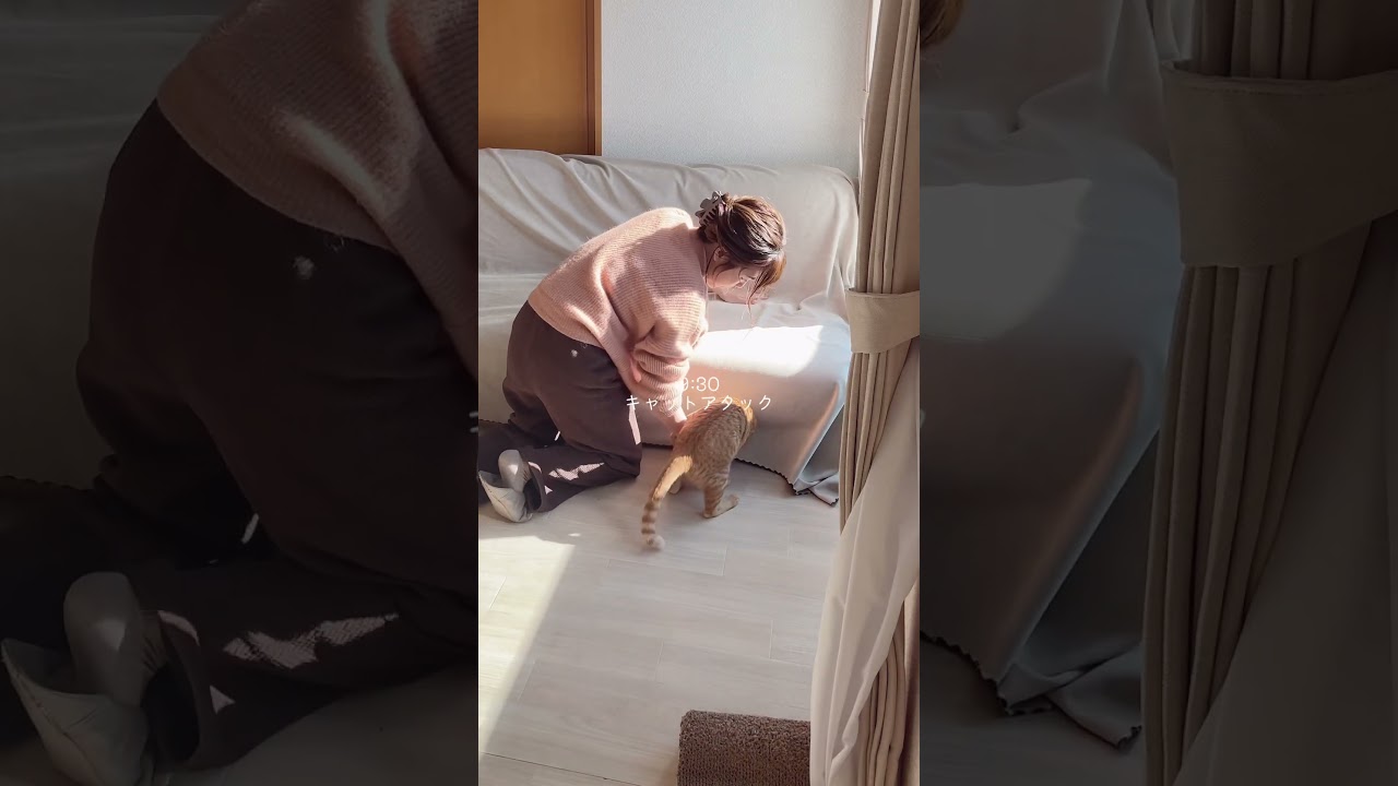 冬のある1日⛄️#犬 #猫