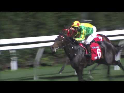 10/2/2021 (415) Sunny Star -  A Badel