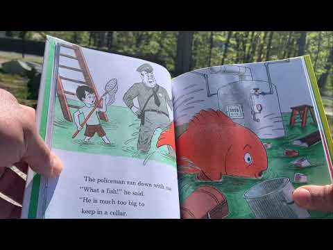 A Fish Out of Water (from Jamaica Pond)