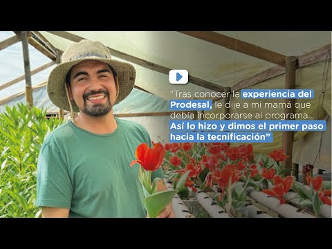 Al principio solo se trataba de un pequeño invernadero 🧑🏻‍🌾😱