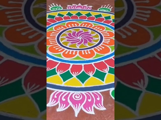 Pongal rangoli design by gayathri - video 2