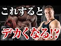 【筋トレ】筋トレを始めて半年ほど経った人が筋肉をさらにつけるために意識して欲しいことがこれです【初心者】