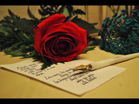 Reijo Taipale - Suudelmin suljetut kirjeet (sanat)