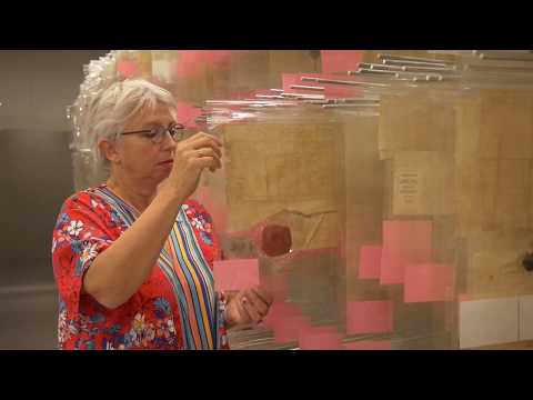 Vlog 23 | Verhaal van Gelderland