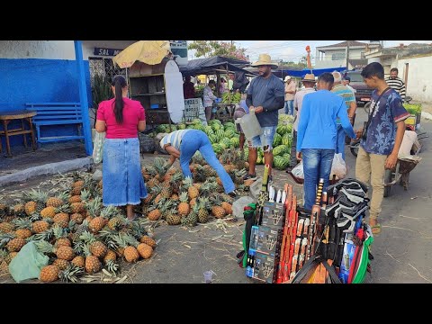 Feira Livre de Lagoa do Ouro-PE 21-10-26
