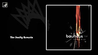 The Sanity Assassin by Bauhaus