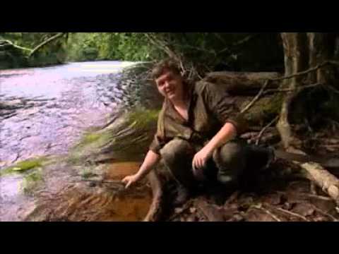 Ray Mears' Bushcraft S01E02 - Jungle Camp