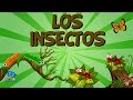LOS INSECTOS Vídeos Educativos Para Niños