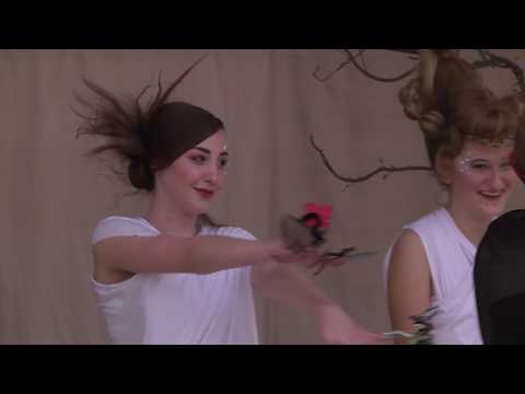 Kronike Velike Gorice tjednik 17.11.2018.