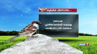 World Sparrow Day: Reasons behind disappearing sparrows