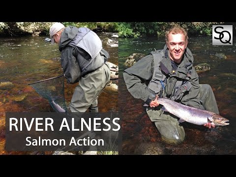 Salmon on my home river The Alness