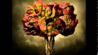 Nuclear War - New Politics