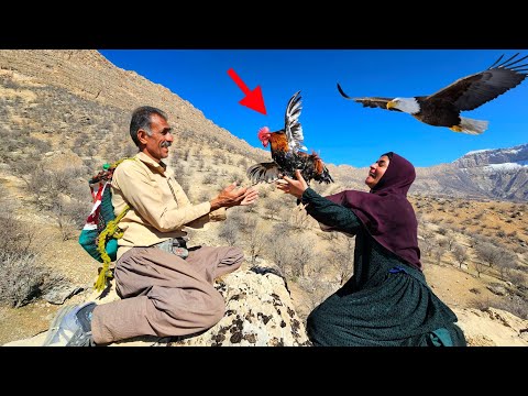 Two nomadic couples who were hiking in the mountains suddenly encountered a rooster.🐓