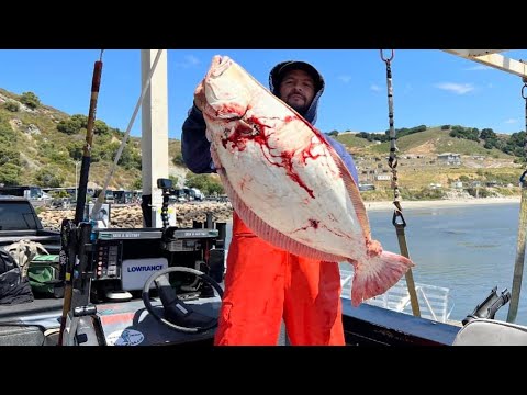 Halibut on the first Drop! Ball Bouncing for SLABS!!