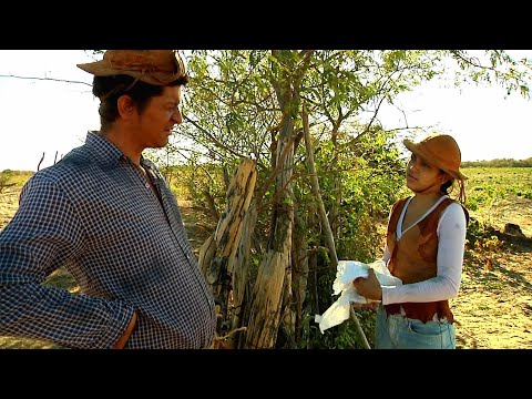 Dandinha e Severiano Apaixonados