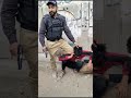 Dakait Robber Snatch Police In Karachi Shorts Ytshorts Robbery