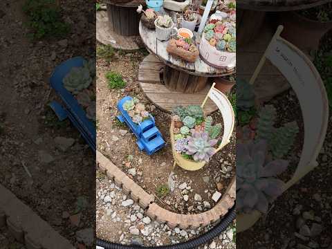 あなたにぴったりの屋外開花多肉植物はどれですか?あなたの庭を明るくする5つの可能性!  庭園